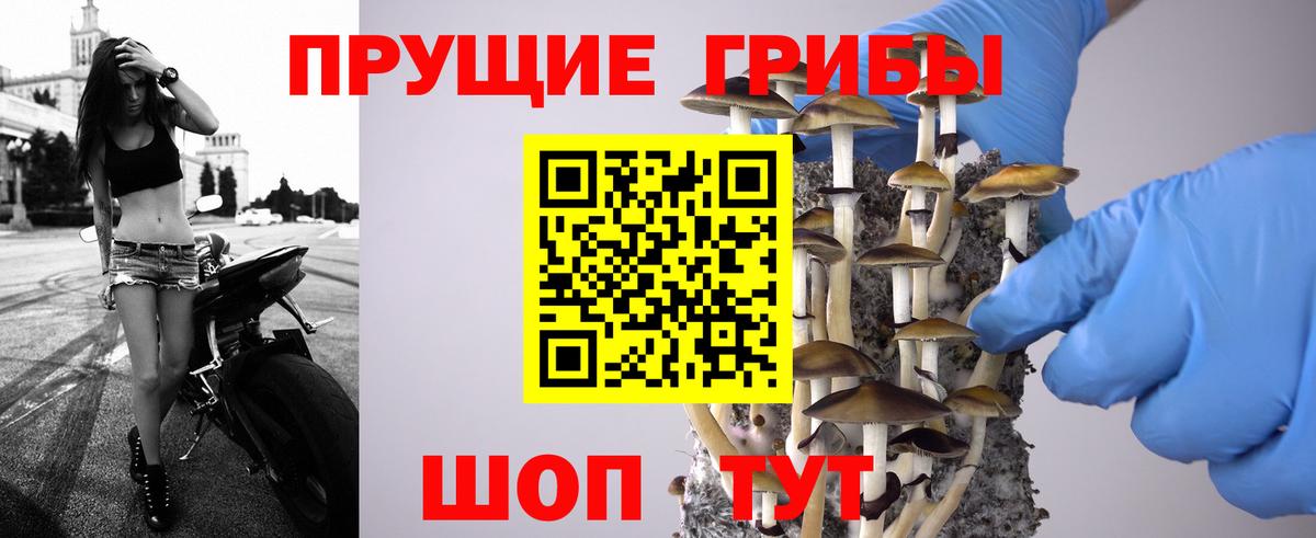 Псилоцибиновые грибы Psilocybine cubensis  Псилоцибиновые грибы GOLDEN TEACHER  Вход с VPN  Керчь 